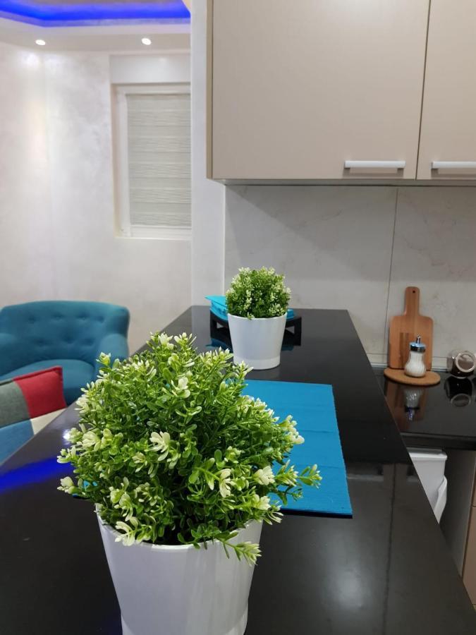 Apartmani Venera Belgrado Exterior foto